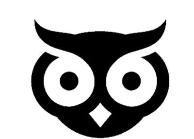 Baykuş Akademi logo
