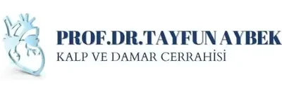 Prof. Tayfun Aybek logo
