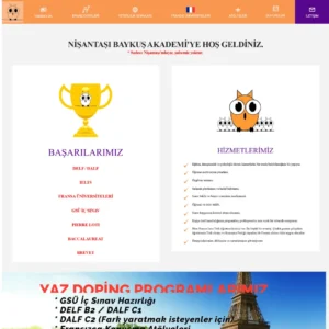 Baykuş Akademi - Web Tasarım Projesi