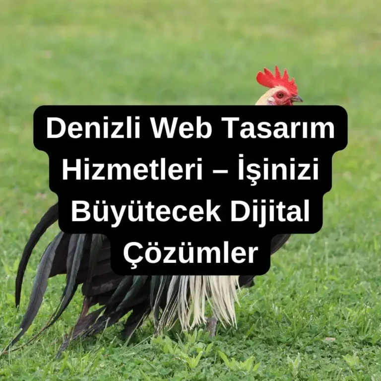Denizli Web Tasarım Hizmetleri – İşinizi Büyütecek Dijital Çözümler