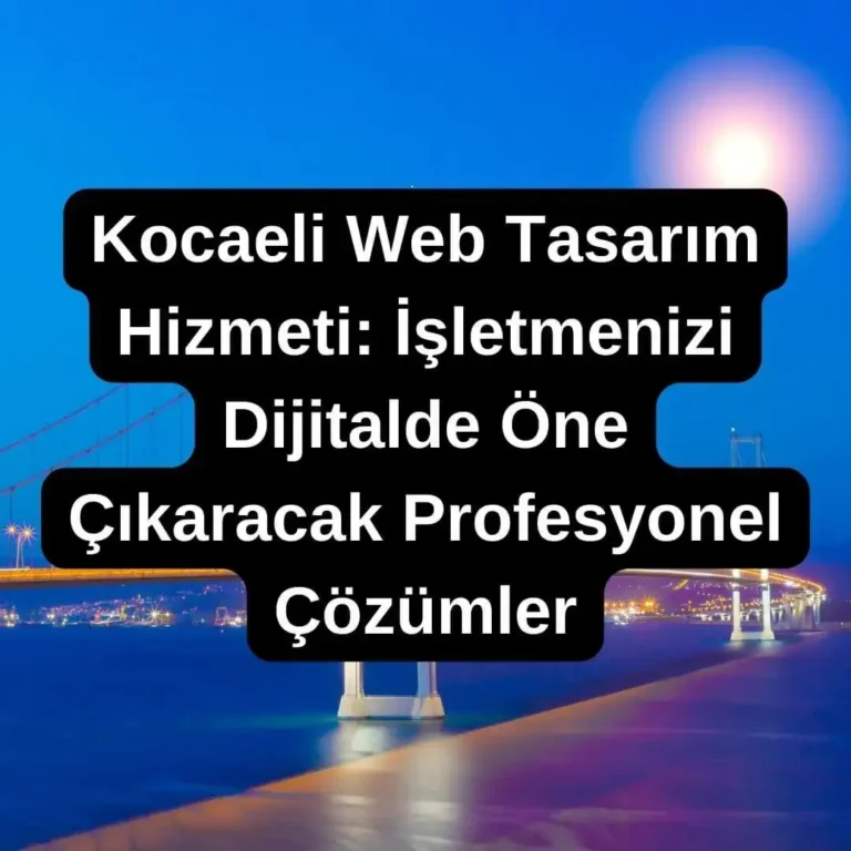 Kocaeli Web Tasarım Hizmeti