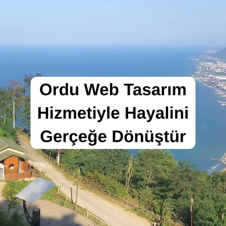 Ordu Web Tasarım Hizmetiyle Hayalini Gerçeğe Dönüştür