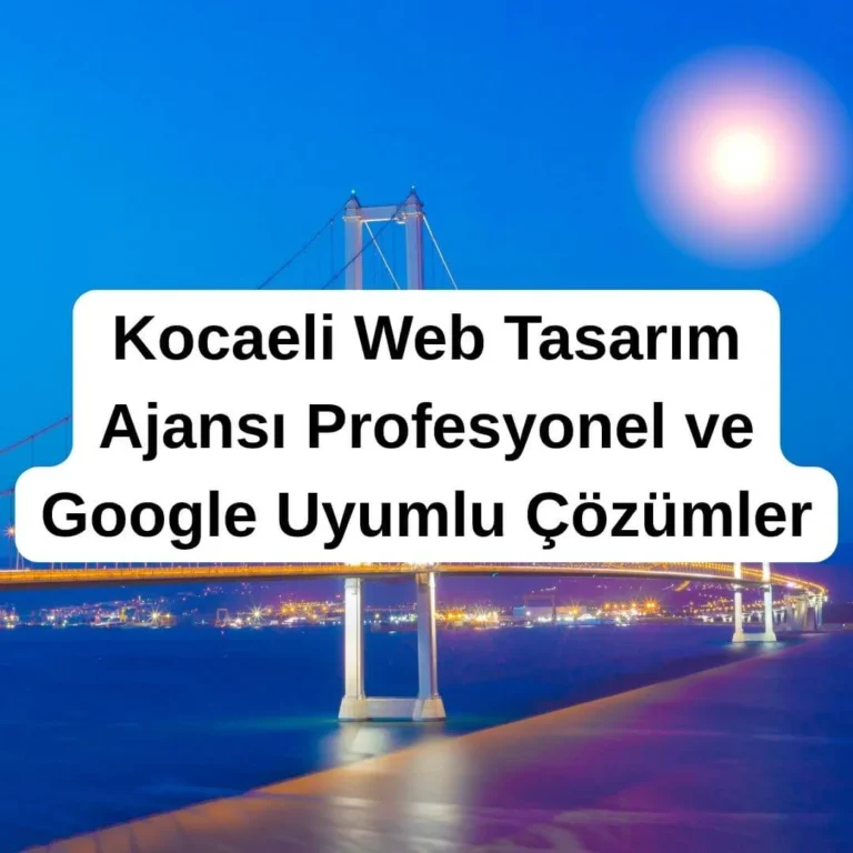 Kocaeli Web Tasarım Ajansı Profesyonel ve Google Uyumlu Çözümler