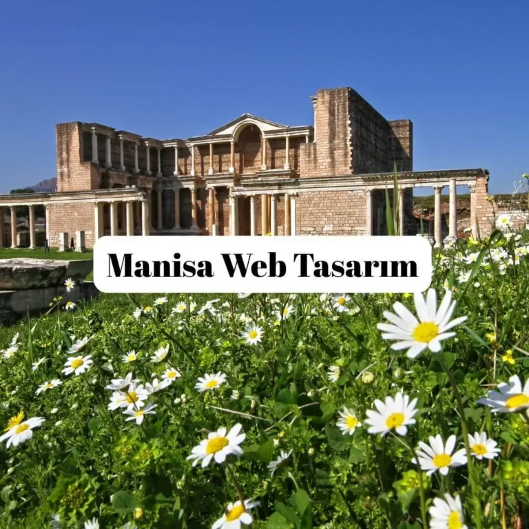 Manisa Web Tasarım