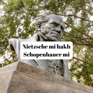 Nietzsche mi haklı Schopenhauer mi