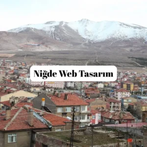 Niğde Web Tasarım