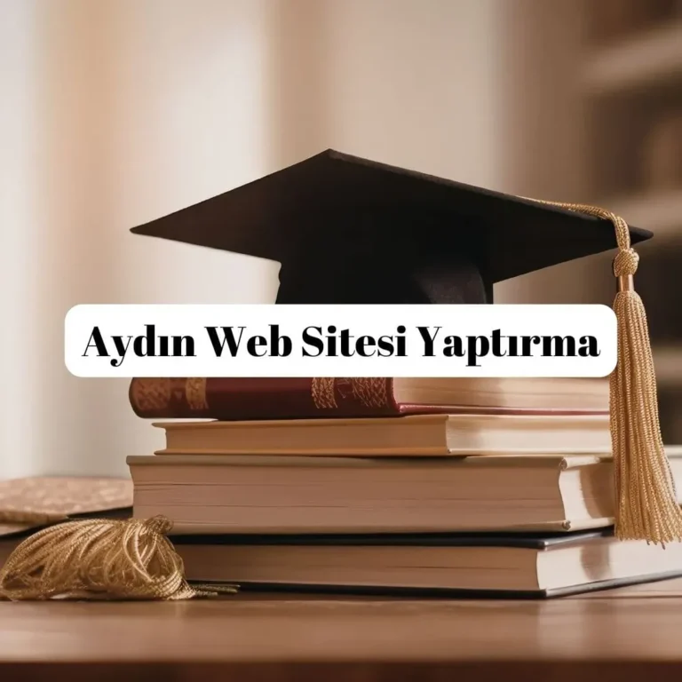 Aydın Web Sitesi Yaptırma