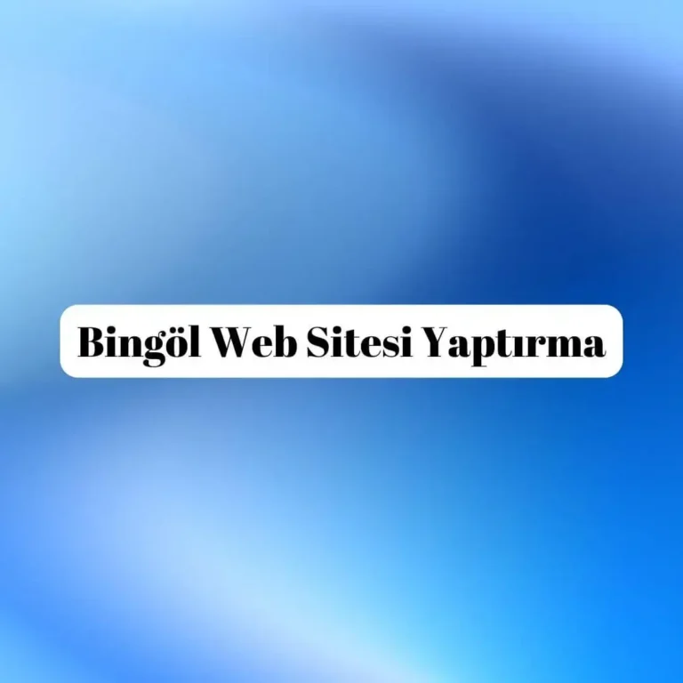 Bingöl Web Sitesi Yaptırma