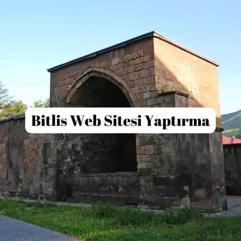 Bitlis Web Sitesi Yaptırma
