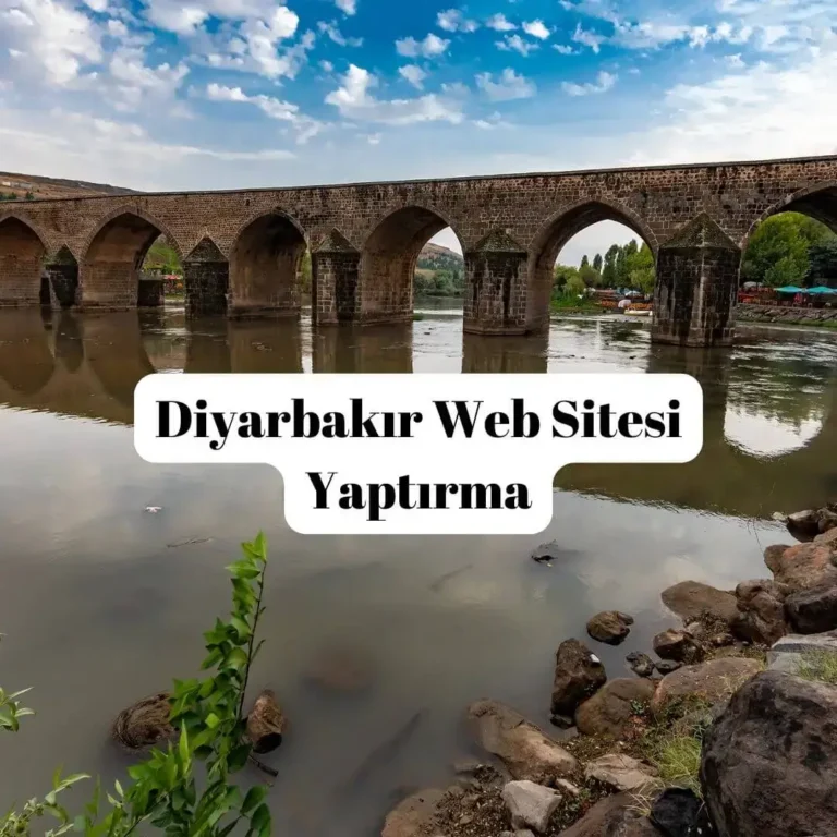 Diyarbakır Web Sitesi Yaptırma