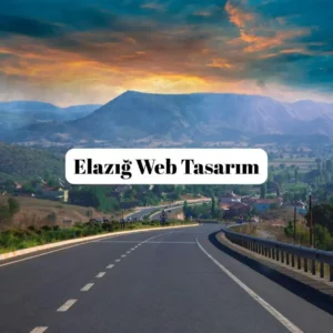 Elazığ web tasarım