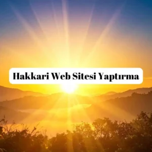 Hakkari Web Sitesi Yaptırma