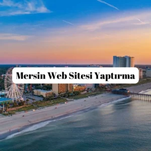 Mersin Web Sitesi Yaptırma