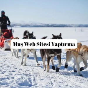 Muş Web Sitesi Yaptırma