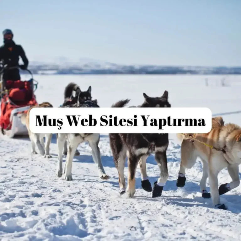 Muş Web Sitesi Yaptırma
