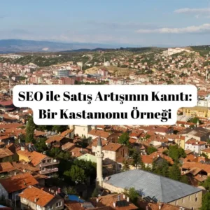SEO ile Satış Artışının Kanıtı Bir Kastamonu Örneği