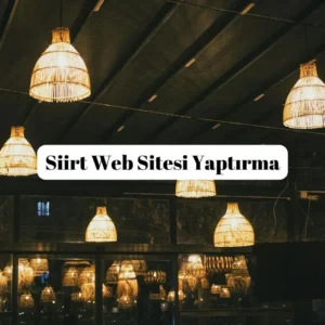 Siirt Web Sitesi Yaptırma