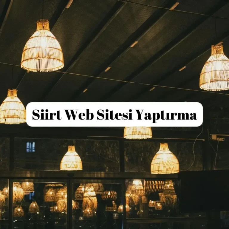Siirt Web Sitesi Yaptırma