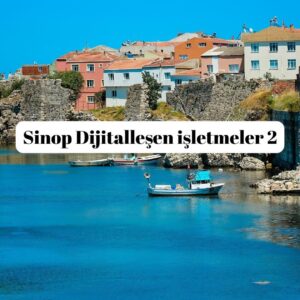 Sinop Dijitalleşen işletmeler 2