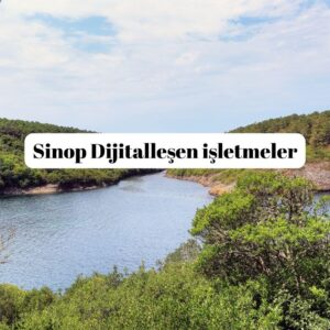 Sinop dijitallejen işletmeler