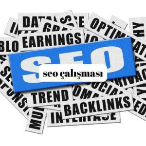 seo çalışması