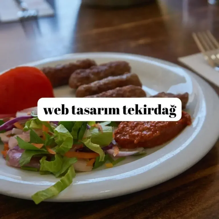 web tasarım tekirdağ